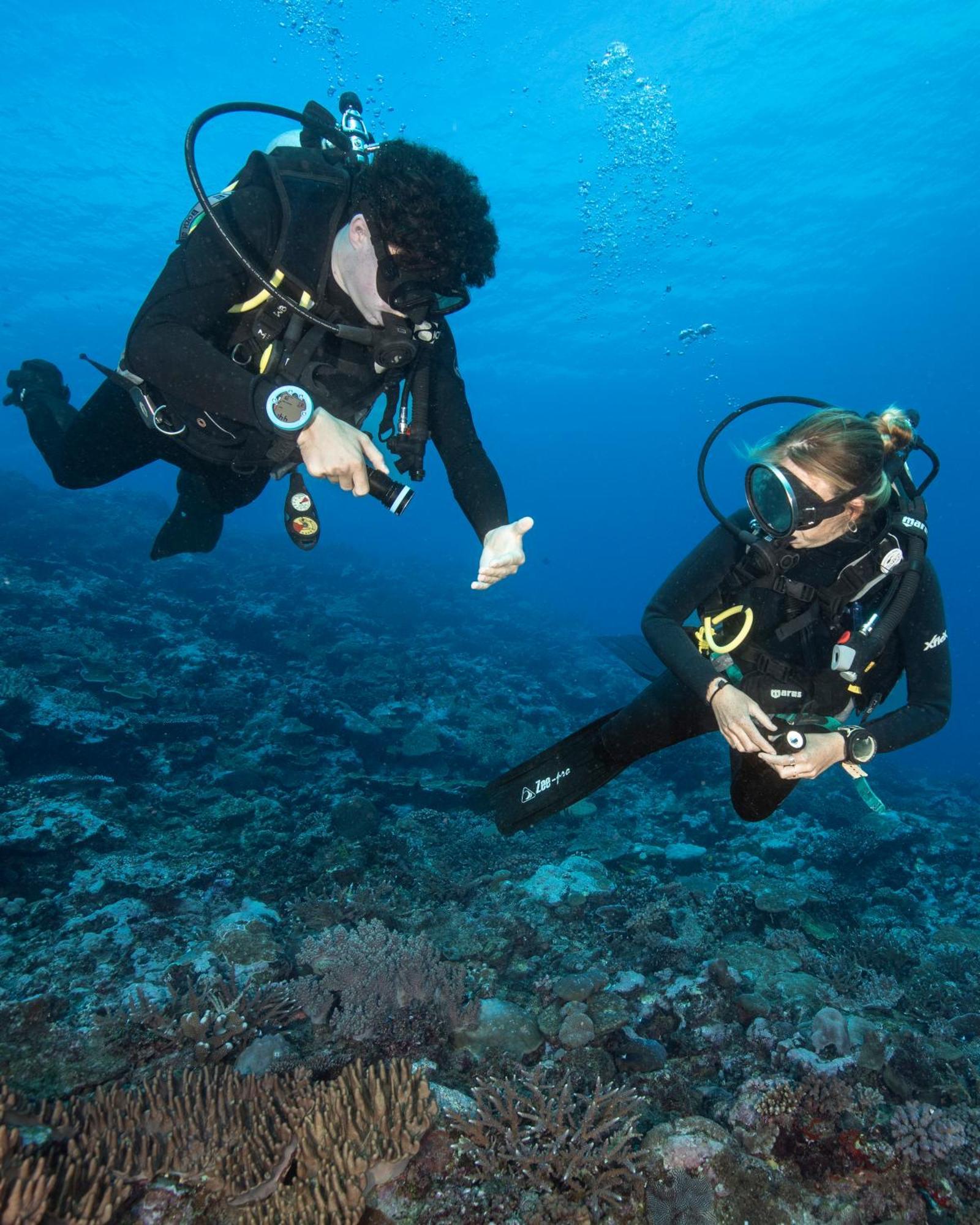 Waidroka Bay Resort Deuba Eksteriør billede